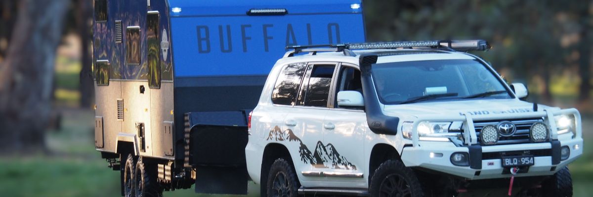Buffalo Caravans - Rogue